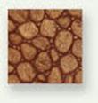 small river stone