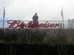 Budweiser Channel Letters at The Ballpark in Arlington, TX