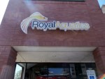 Lighted Channel Letter Royal Aquatics Sign with Vinyl Overlay in Flower Mound, TX by Signs Manufacturing, Dallas, TX